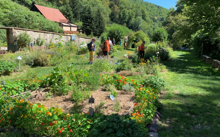 Ancien jardin du presbytère de la commune de Murbach