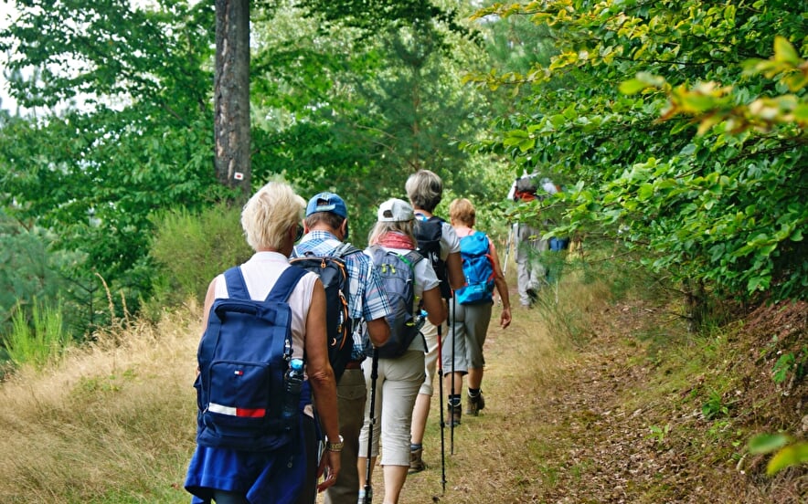 Parc naturel régional des Vosges du Nord