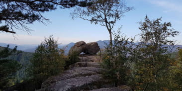 Point de vue du Rocher du Pfaffenlapp