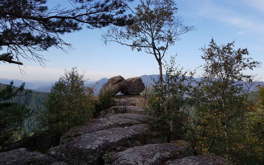 Point de vue du Rocher du Pfaffenlapp