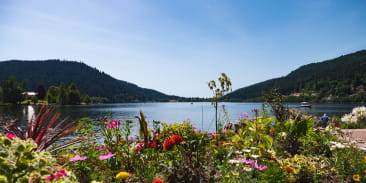Le lac de Gérardmer