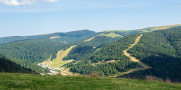 La chaume des champis
