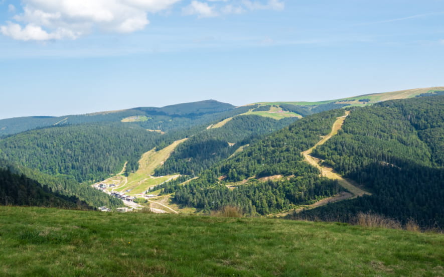 La chaume des champis