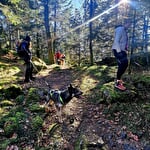 Cani-rando L'Arche Sibérienne