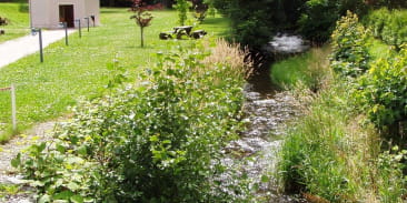 Source Marie - eau ferrugineuse