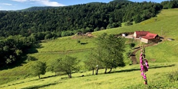 Ferme-auberge du Kohlschlag