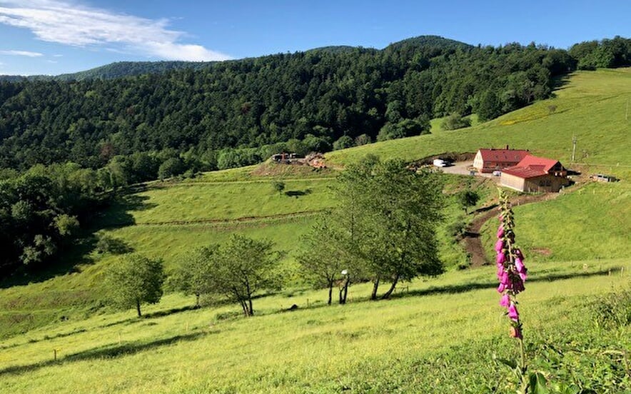 Ferme-auberge du Kohlschlag