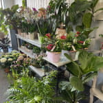 Au Sabot Fleuri