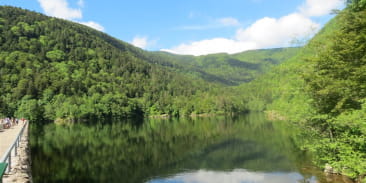 Pêche au lac d'Alfeld