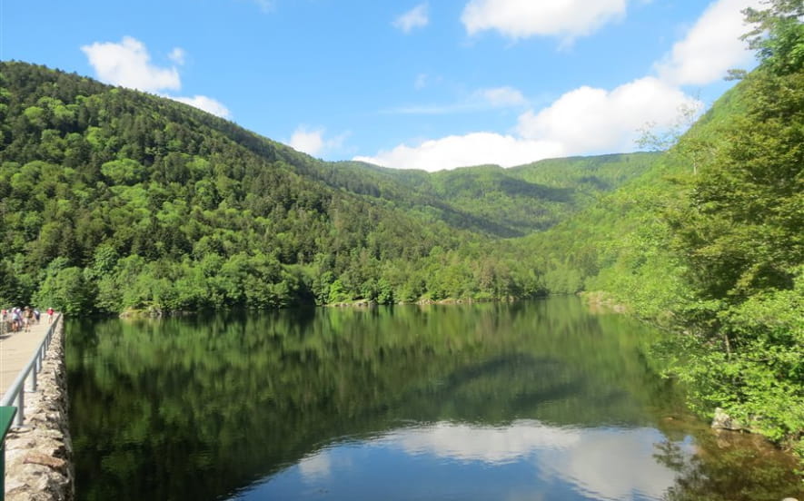 Pêche au lac d'Alfeld