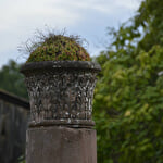 Colonnes gallo-romaines