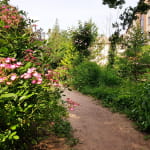 Promenade des Berges de la Zorn