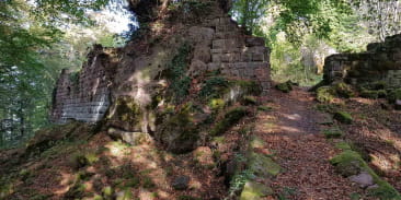 Ruines du Château du Grand Ringelstein