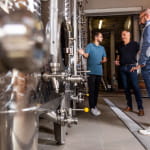 Au cœur du métier de vigneron : de la cave à l’assemblage
