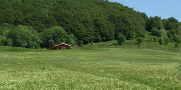 Massif des Bers et Gresson