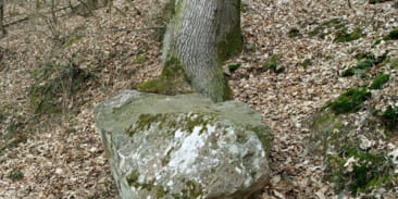 Rocher du Teufelstein