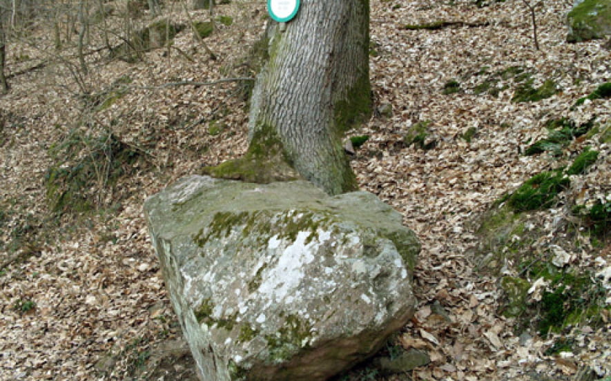 Rocher du Teufelstein