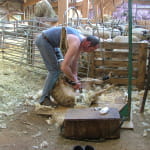Bergerie de Straiture