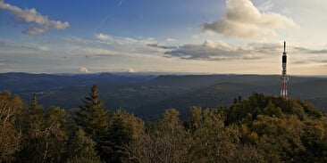 La forêt domaniale du Donon