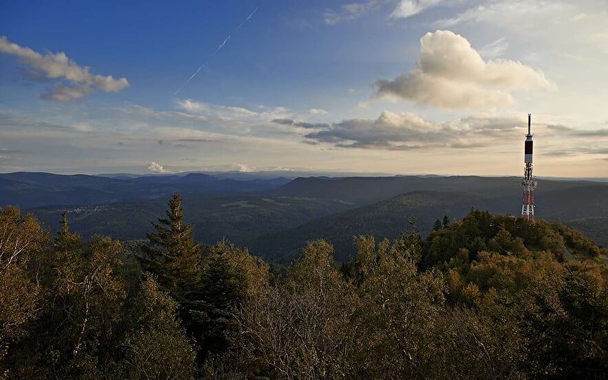 La forêt domaniale du Donon