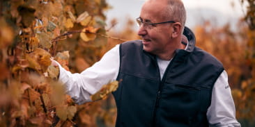 Domaine Jacques Maetz