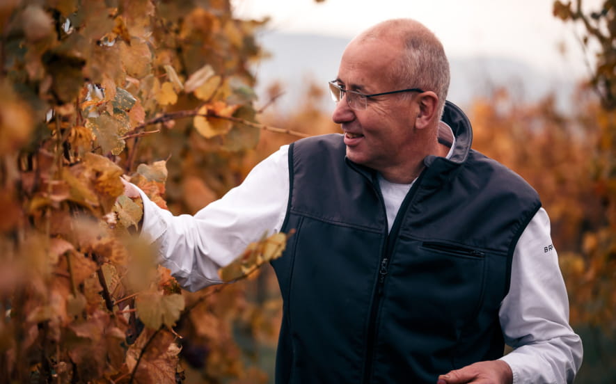 Domaine Jacques Maetz