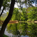 Étang de la Ballastière
