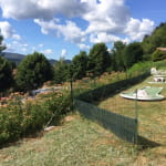 Camping l'Orée du Bois