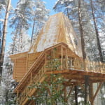 Cabanes dans les arbres Nids des Vosges