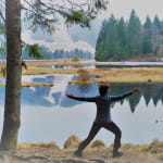 Yoga sadhana Vosges
