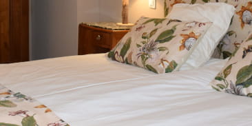 Meublé de l'Hostellerie Alsacienne - La Forêt