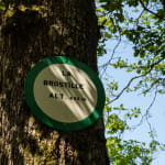 La roche de la brostille