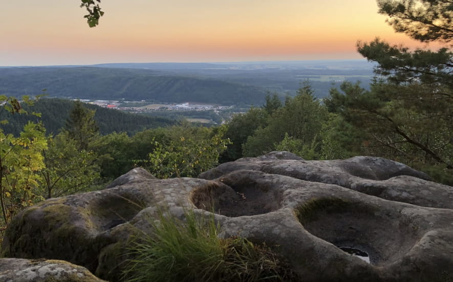 Point de vue de la tête des cuveaux