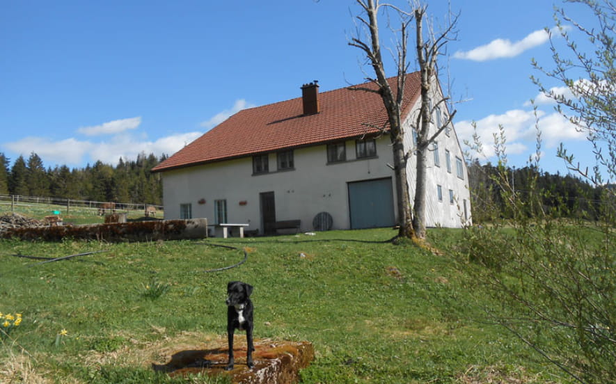 Appartement 5 personnes