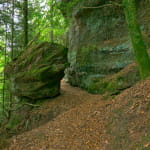 Roche de la Forge