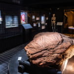 Maison de l'archéologie des Vosges du Nord