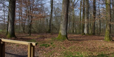 Parcours de santé à St Sauveur