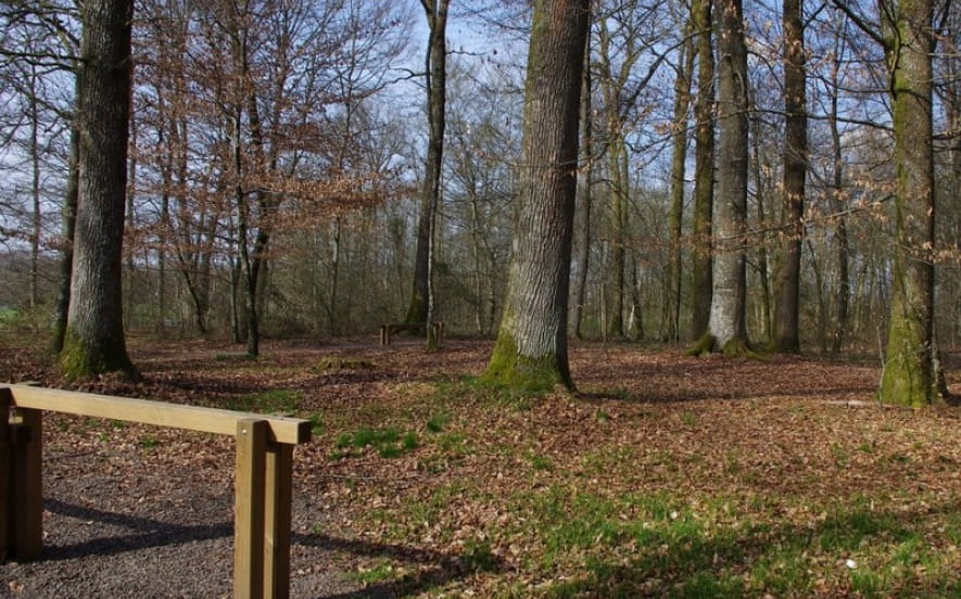 Parcours de santé à St Sauveur