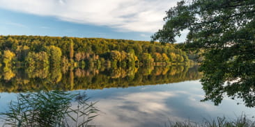 Plan d'eau - Réserve naturelle