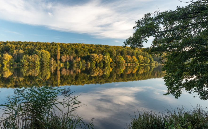 Plan d'eau - Réserve naturelle