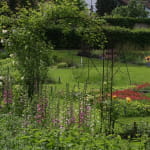 Les jardins du Parc de la Villa Burrus