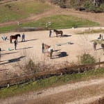 Horse Spirit - Le Clos Yakari