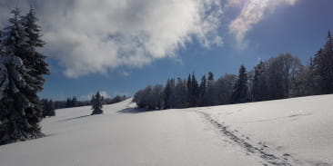 Balades en raquettes à neige avec la Maison de la Terre