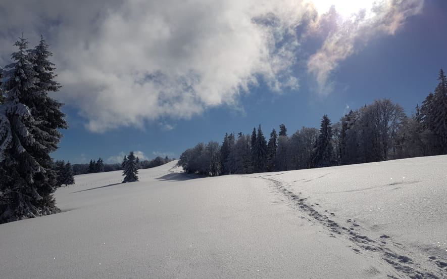 Balades en raquettes à neige avec la Maison de la Terre