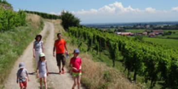 Château, plaine d’Alsace et Vignobles