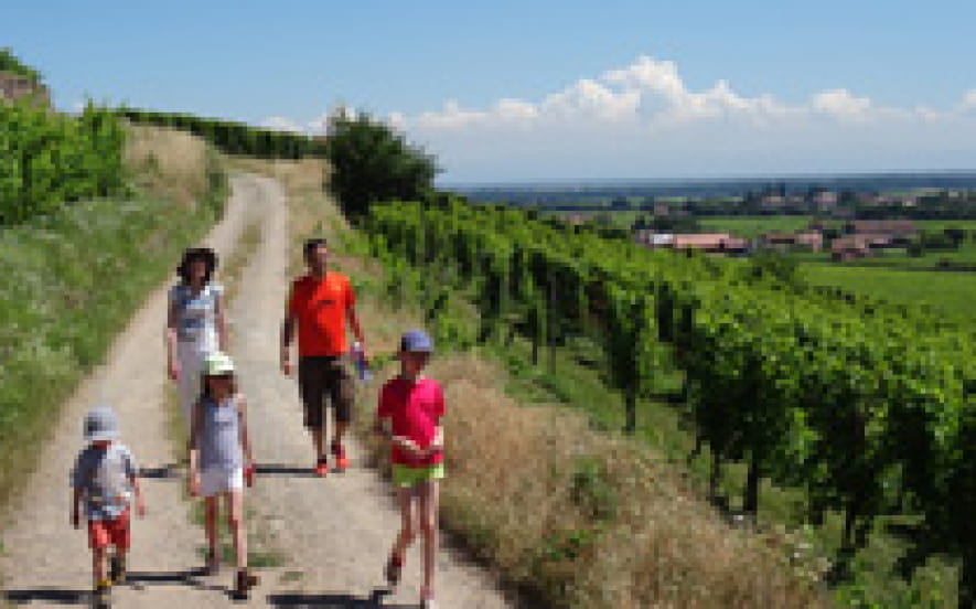 Château, plaine d’Alsace et Vignobles
