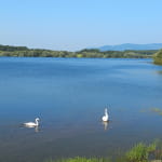 Le barrage et la réserve naturelle de Michelbach