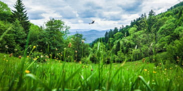 Parc Alsace Aventure