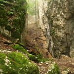 Site naturel d'escalade "Grotte des Nains"