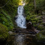 Cascade du cuisinier